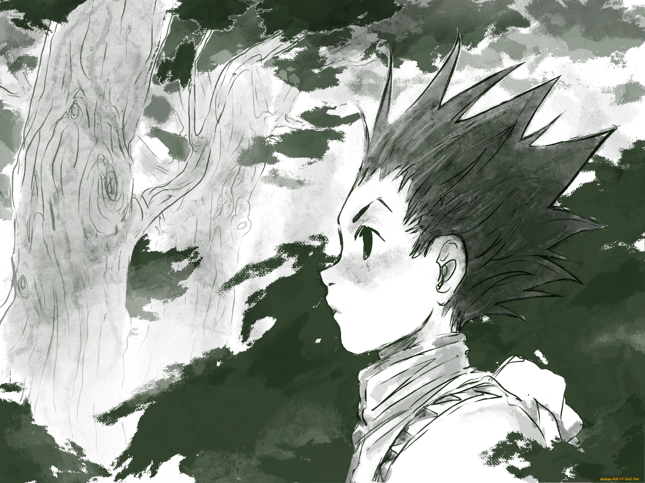 , hunter x hunter, , 